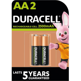 BLÍSTER 2 PILAS DURACELL...