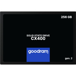 CX400 GEN.2 2.5" 256 GB...