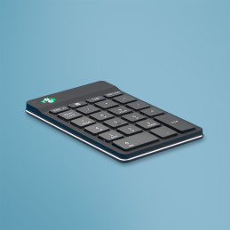 TECLADO NUMÉRICO R-GO...